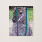 Kangaroo achter tralies legpuzzel (Verticaal)
