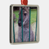 Kangaroo achter tralies metalen ornament (Rechts)