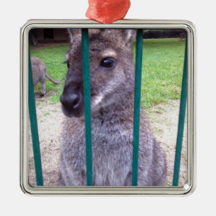 Kangaroo achter tralies metalen ornament