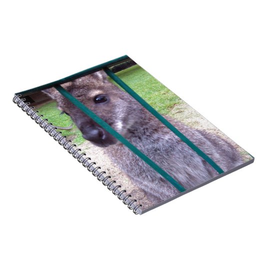 Kangaroo achter tralies notitieboek (Rechterzijde)
