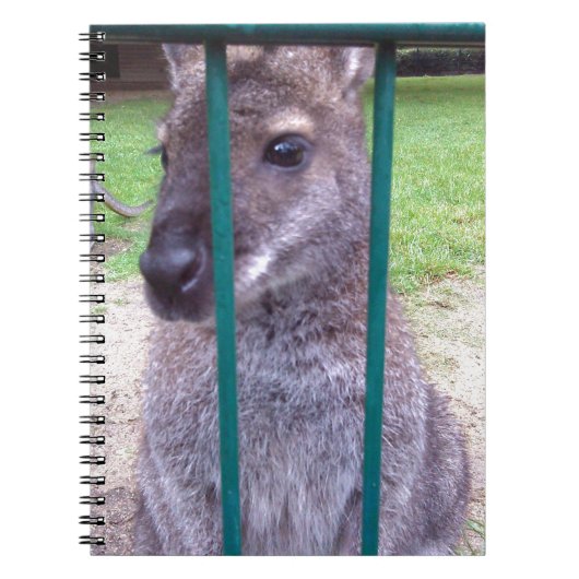 Kangaroo achter tralies notitieboek (Voorkant)