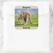 Kangaroo achtergrond vierkante sticker (Tas)