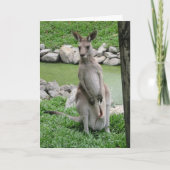 Kangaroo - Australia Beckons Kaart (Voorkant)