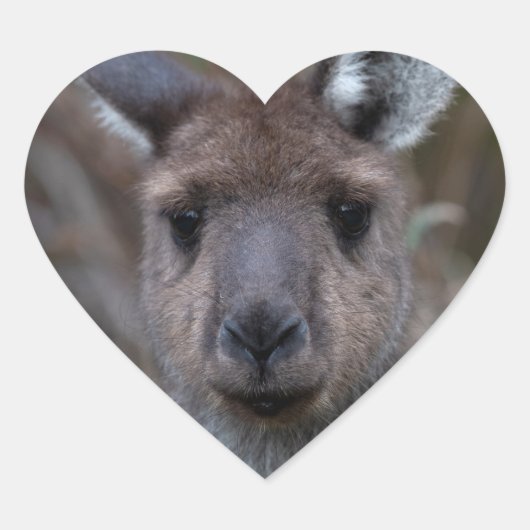 Kangaroo Australië Hart Sticker (Voorkant)