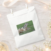 Kangaroo Bedankzakje (Geknipt)