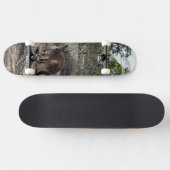 Kangaroo bij de Billabong, compleet skateboard (Horizontaal)
