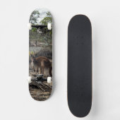 Kangaroo bij de Billabong, compleet skateboard (Voorkant)