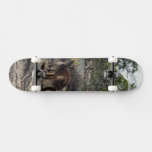 Kangaroo bij de Billabong, compleet skateboard (Horizontaal)