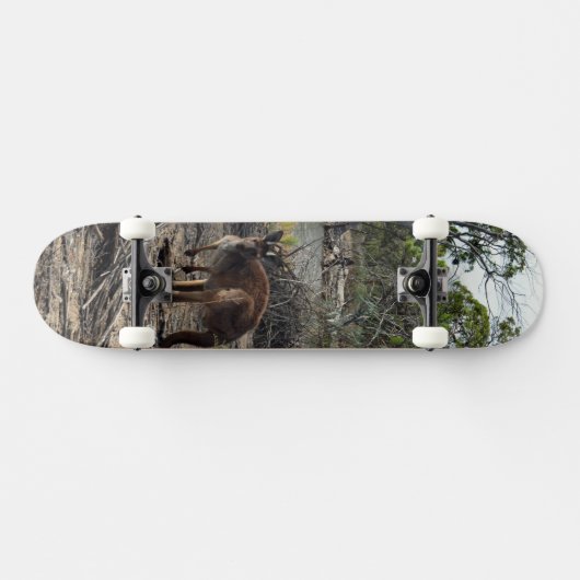 Kangaroo bij de Billabong, compleet skateboard (Horizontaal)