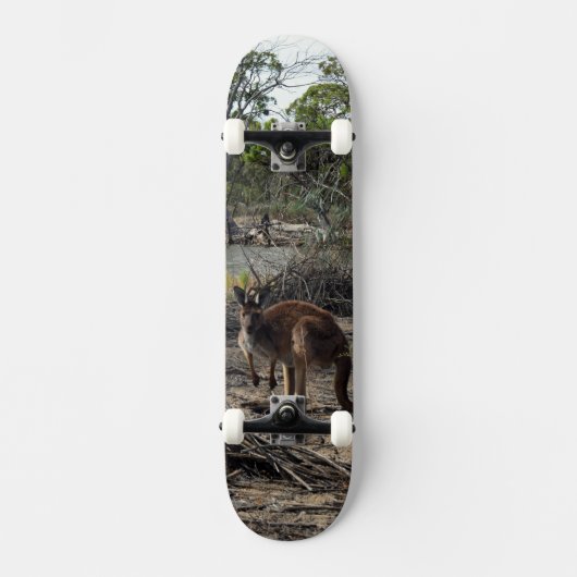 Kangaroo bij de Billabong, compleet skateboard (Voorkant)