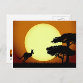 Kangaroo bij zonsondergang briefkaart (Voorkant / Achterkant)