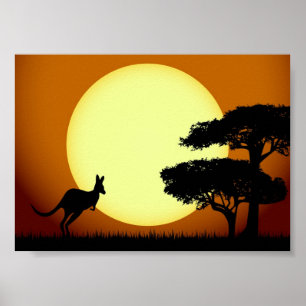 Kangaroo bij zonsondergang poster