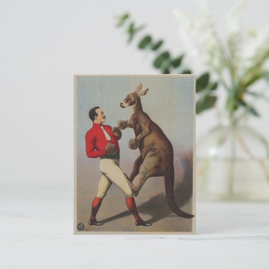 Kangaroo boxing sideshow briefkaart (Staand voorkant)