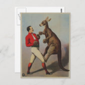 Kangaroo boxing sideshow briefkaart (Voorkant / Achterkant)
