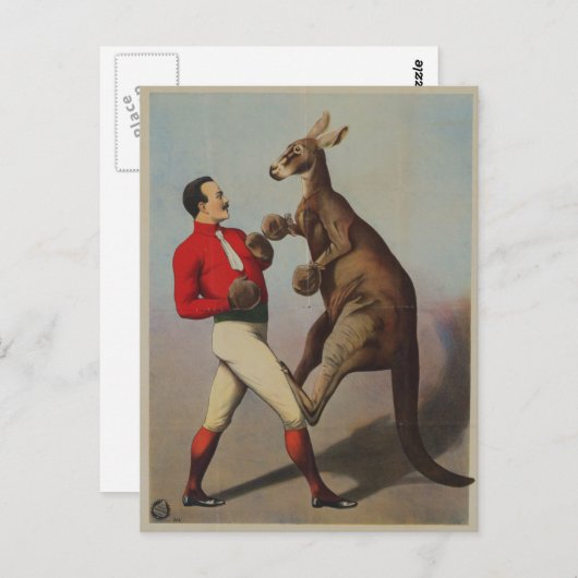 Kangaroo boxing sideshow briefkaart (Voorkant / Achterkant)