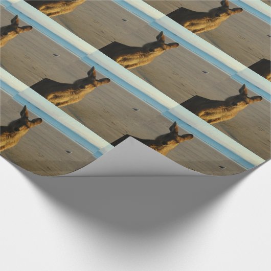 Kangaroo Cadeaupapier (Hoek)