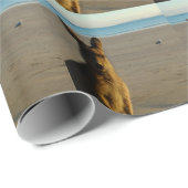 Kangaroo Cadeaupapier (Rol Hoek)