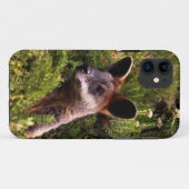 Kangaroo Case-Mate iPhone Case (Achterkant (horizontaal))