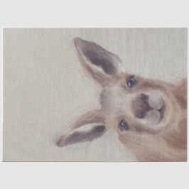 Kangaroo-deportpapier voor weefsels tissuepapier