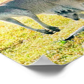 Kangaroo en Baby Poster (Hoek)