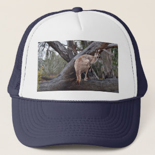 Kangaroo- en gombomen, Pet