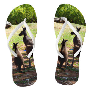 Kangaroo en haar Joey, Teenslippers