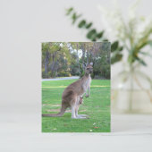 Kangaroo en Joey Briefkaart (Staand voorkant)