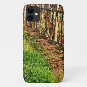 Kangaroo en Joey in wijnstokken, Case-Mate iPhone Case