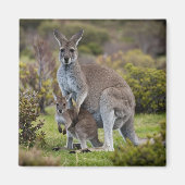 Kangaroo en Joey Magneet (Voorkant)