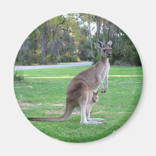 Kangaroo en Joey Magneet