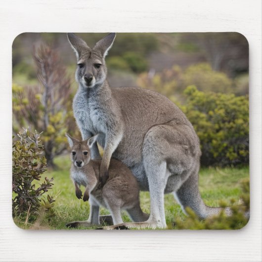 Kangaroo en Joey Muismat (Voorkant)