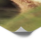 Kangaroo en Joey Poster (Hoek)