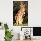 Kangaroo en Joey Poster (Thuiskantoor)