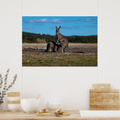 Kangaroo en Joey Poster (Keuken)