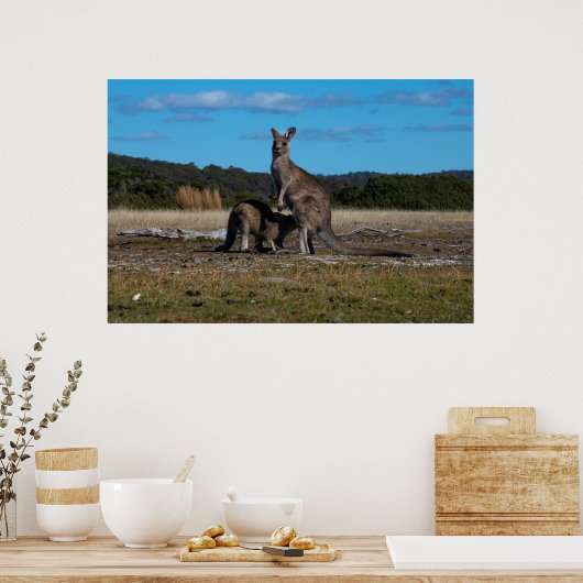 Kangaroo en Joey Poster (Keuken)