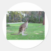 Kangaroo en Joey Ronde Sticker (Voorkant)