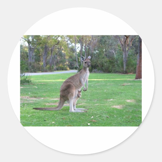 Kangaroo en Joey Ronde Sticker (Voorkant)