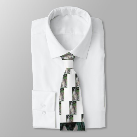 Kangaroo en Joey Stropdas (Gebonden)