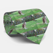 Kangaroo en Joey Stropdas (Opgerold)