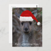 Kangaroo Face Santa Hat Merry Kerstmis Briefkaart (Voorkant / Achterkant)