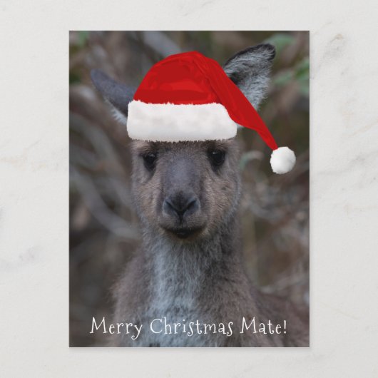 Kangaroo Face Santa Hat Merry Kerstmis Briefkaart (Voorkant)