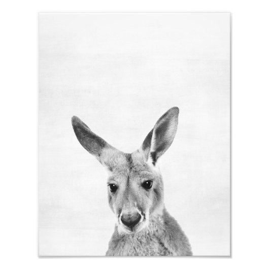 Kangaroo Foto Afdruk (Voorkant)