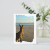 Kangaroo Foto Briefkaart (Staand voorkant)