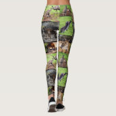 Kangaroo Foto Collage, Dames Leggings (Achterkant)