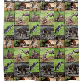 Kangaroo Foto Collage, Shower Curtain. Douchegordijn