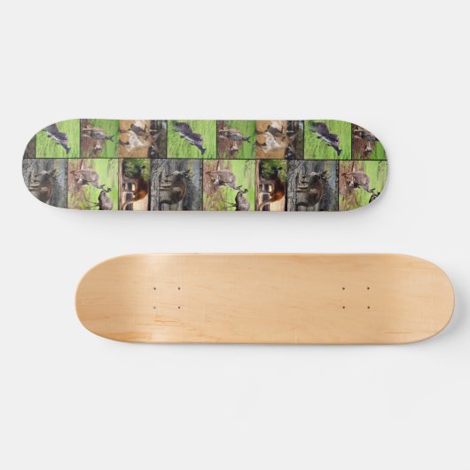 Kangaroo Foto Collage, Skateboard (Horizontaal)