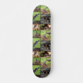 Kangaroo Foto Collage, Skateboard (Voorkant)