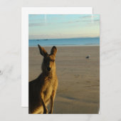 Kangaroo Fotouitnodiging Kaart (Voorkant / Achterkant)