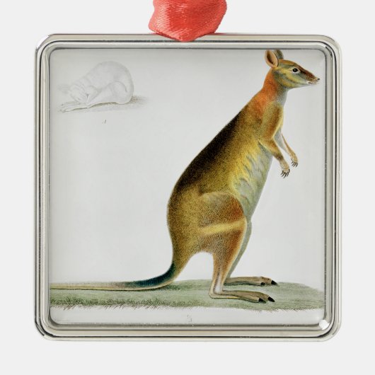 Kangaroo, gegraveerd door Coutant Metalen Ornament (Voorkant)