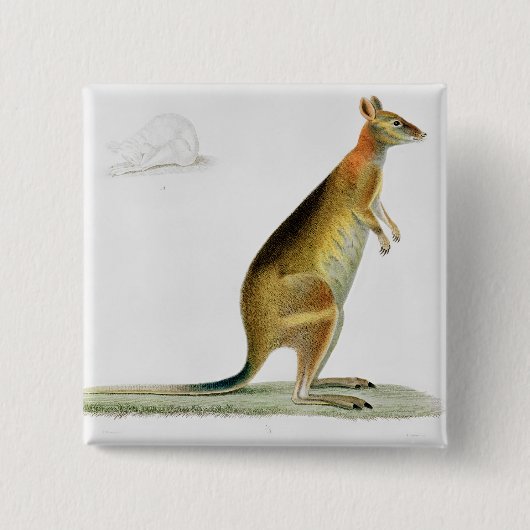 Kangaroo, gegraveerd door Coutant Vierkante Button 5,1 Cm (Voorkant)